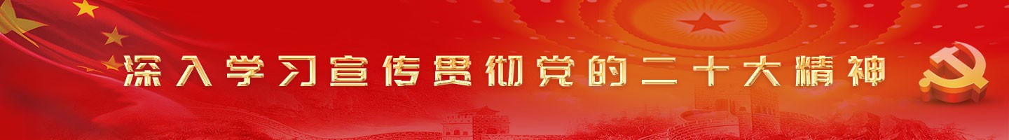 深入学习宣传贯彻党的二十大精神 